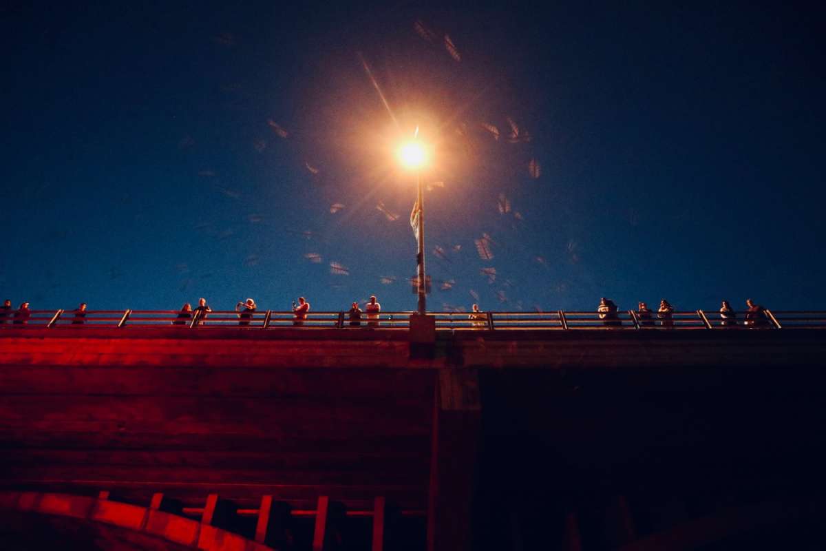 A group of people silhouetted against the night sky, standing on the Ann W. Richards Congress Avenue Bridge in Austin, Texas, watching bats under a bright light post.