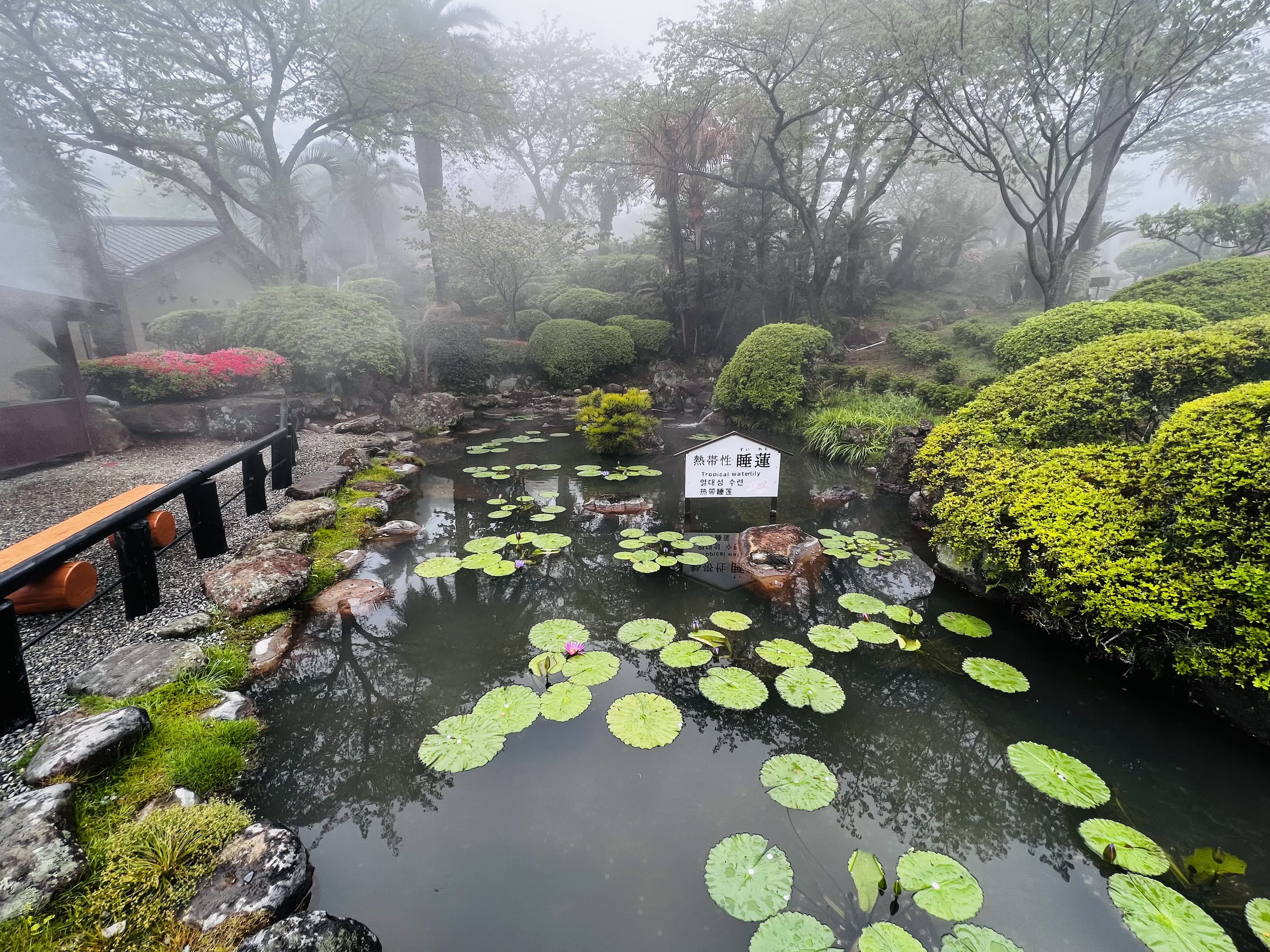 hot springs of beppu