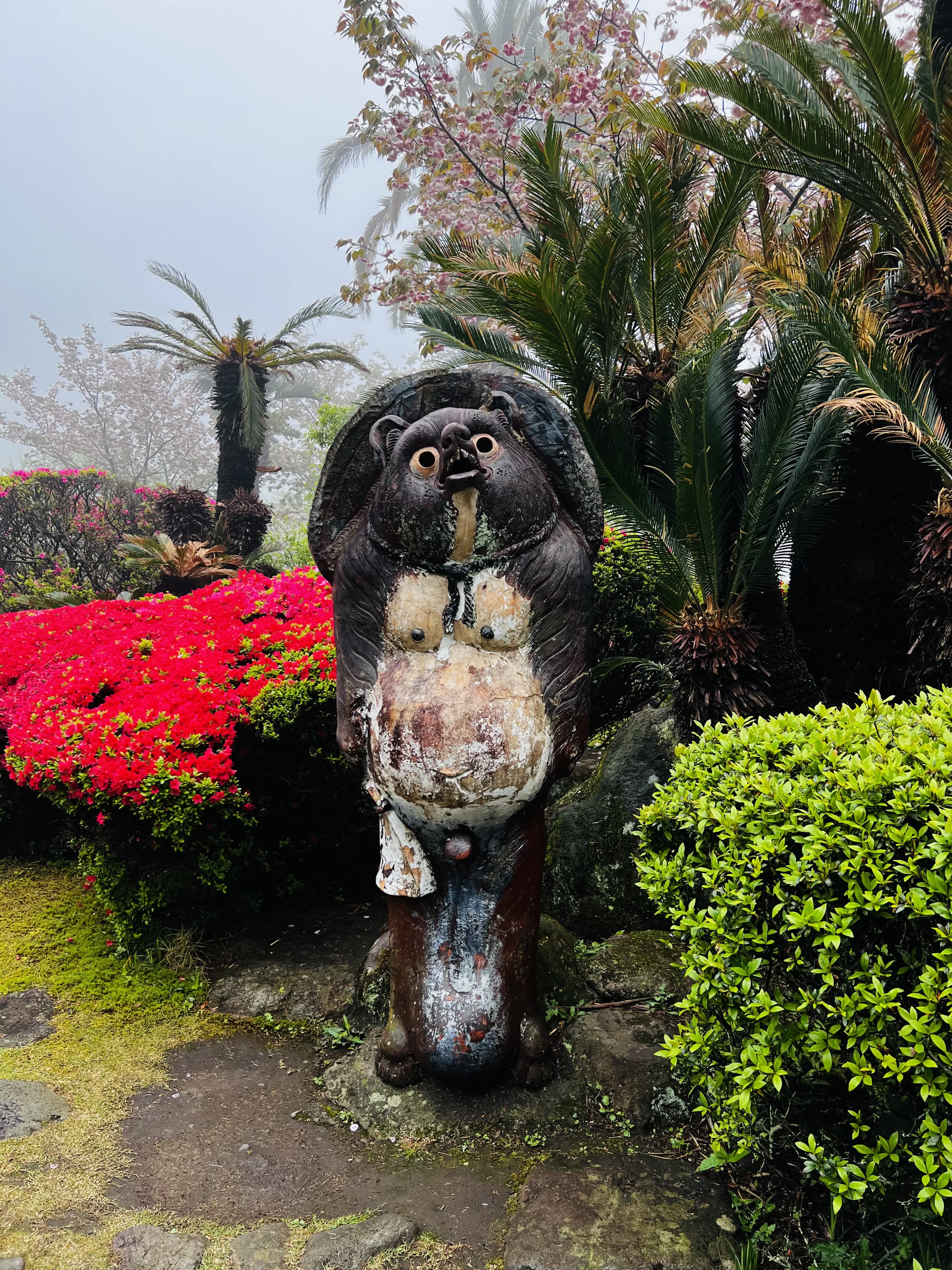 I finally found the tanuki