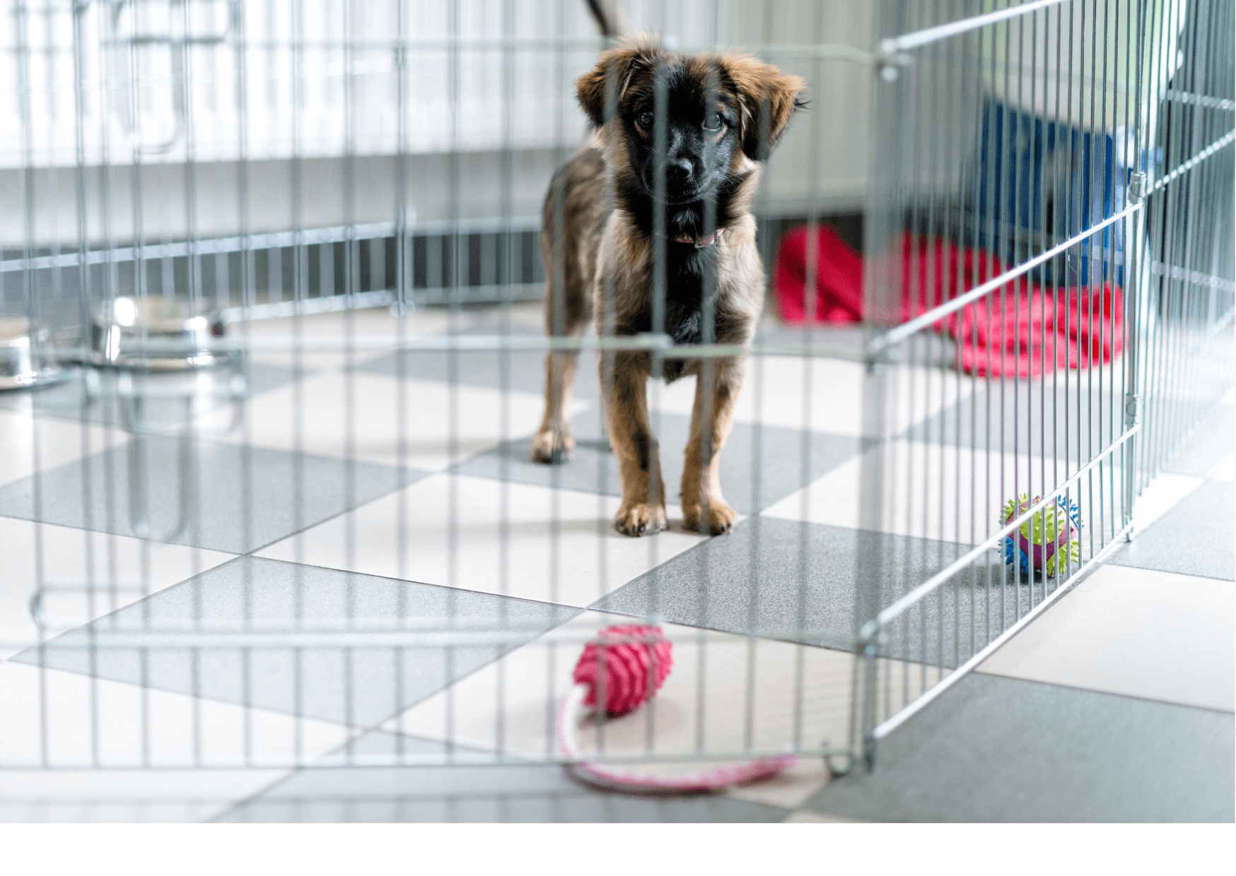 A small brown and black puppy standing inside a wire playpen on a tiled floor, with toys scattered around. The confinement suggests the use of lick mats for dogs to provide enrichment and reduce boredom while in a playpen or crate.