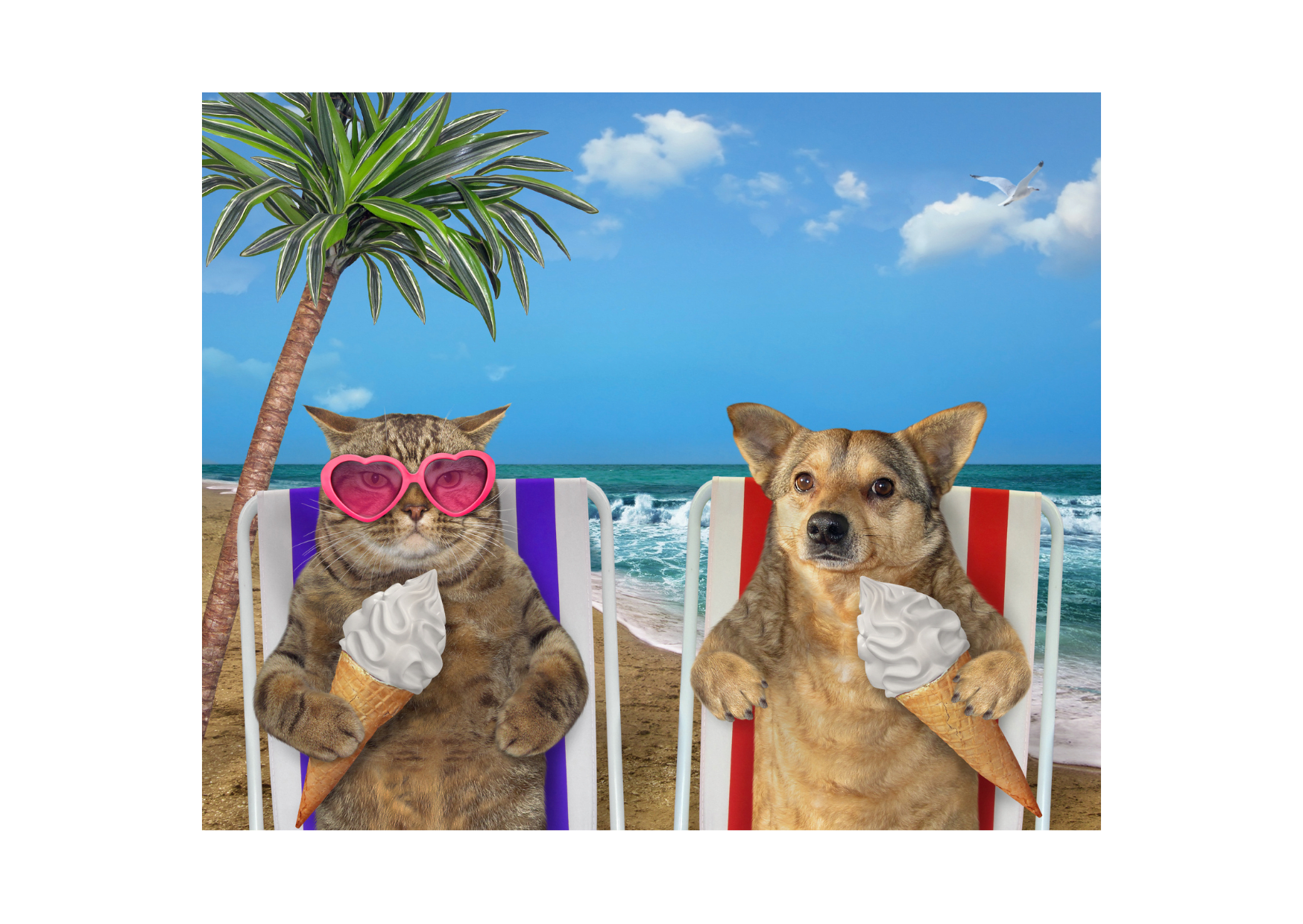 A cat in heart-shaped sunglasses and a dog sitting on beach chairs, each holding an ice cream cone, enjoying ice pops for dogs and other pets.