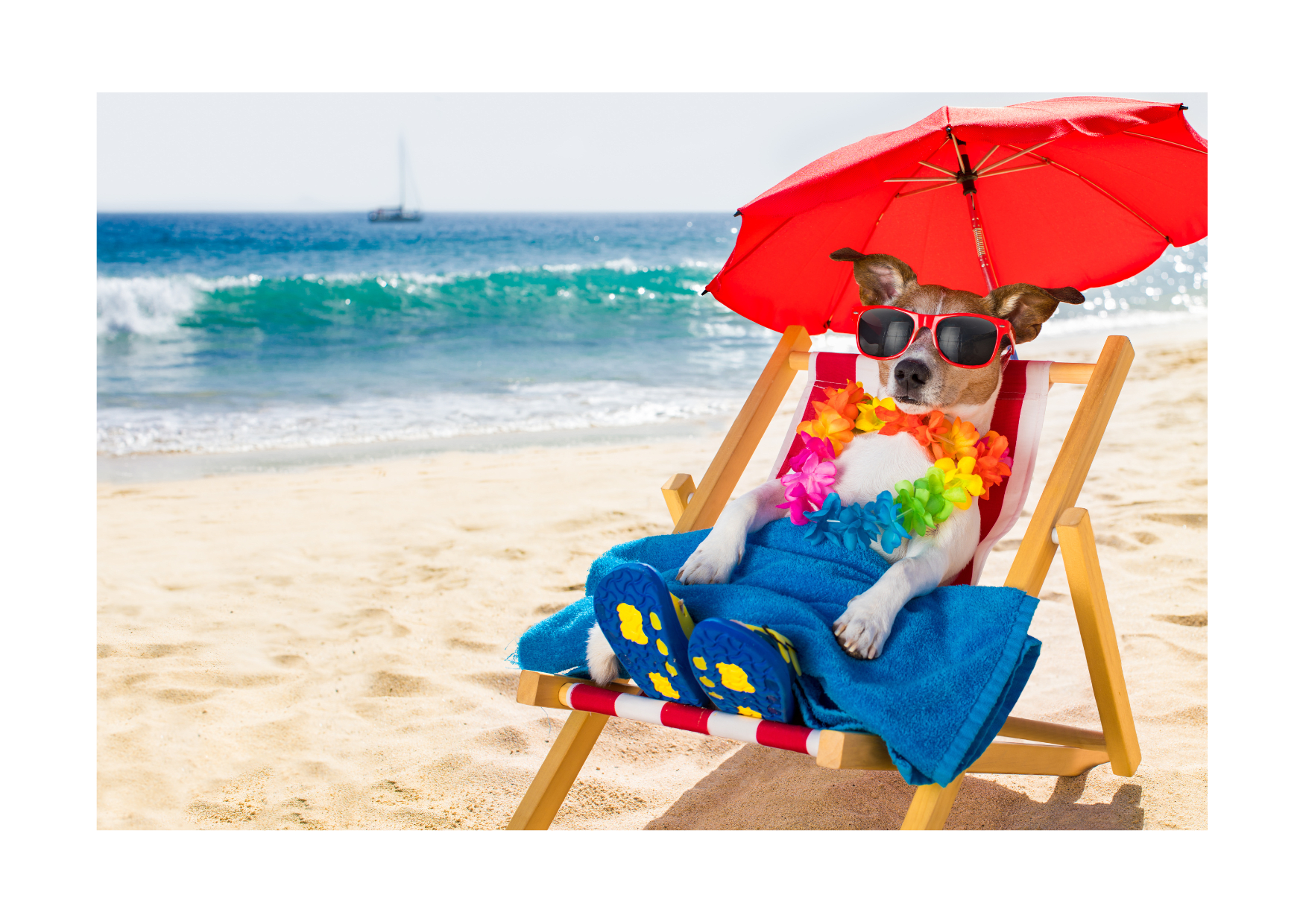A dog lounging on a beach chair under a red umbrella, wearing sunglasses and a floral lei, enjoying a relaxing day with ice pops for dogs.
