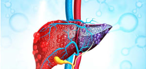 മെലിഞ്ഞവരിലും കരളില്‍ കൊഴുപ്പടിയും; വില്ലനായി ലീന്‍ ഫാറ്റി ലിവര്‍