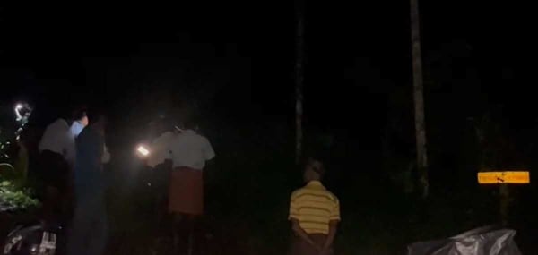 banner image