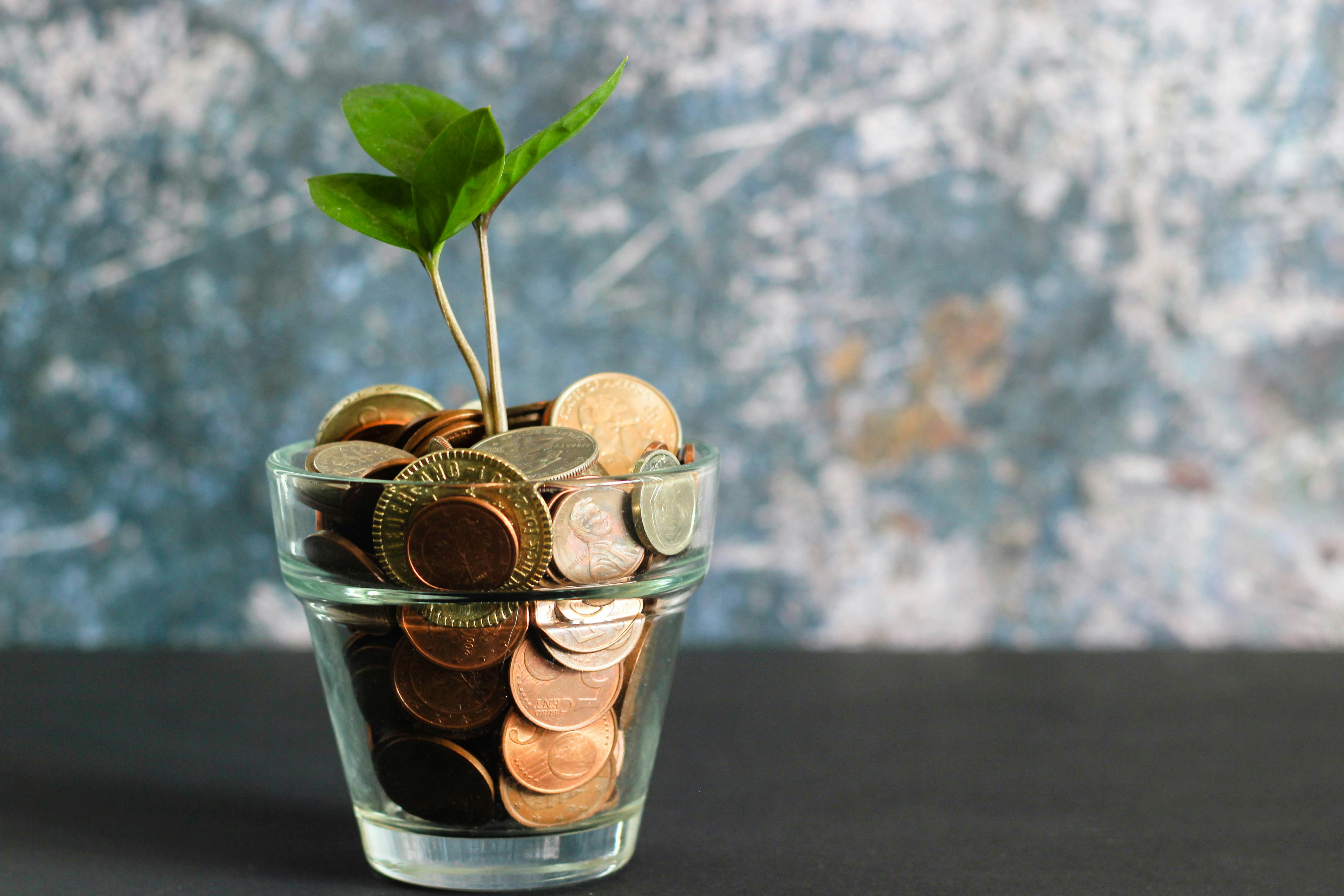a clear plant pot filled with money. It has a small plant growing out of the top