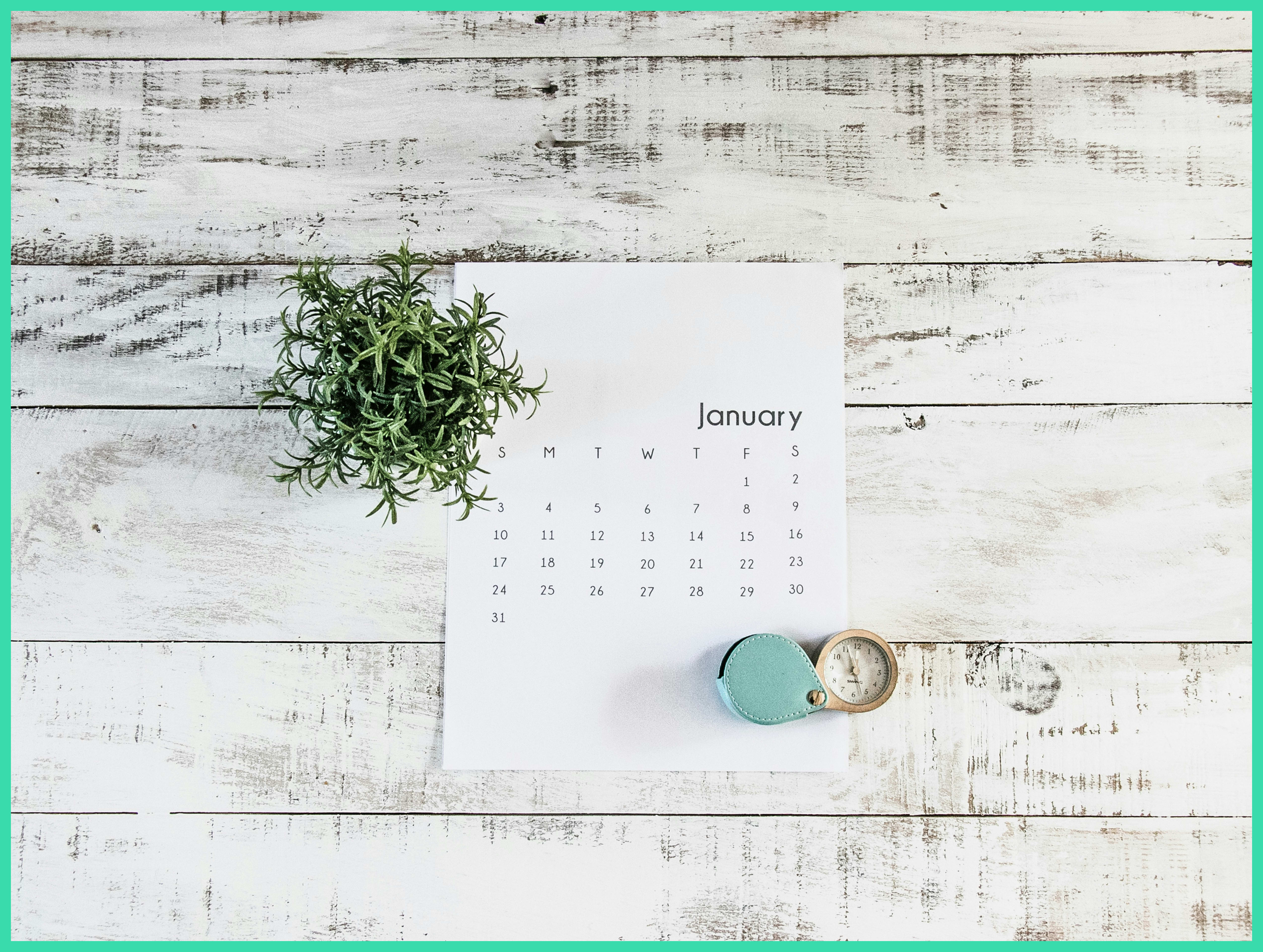 a printed out calendar showing the month of January. The calendar is on a white rustic table with a small potted plant next to it.