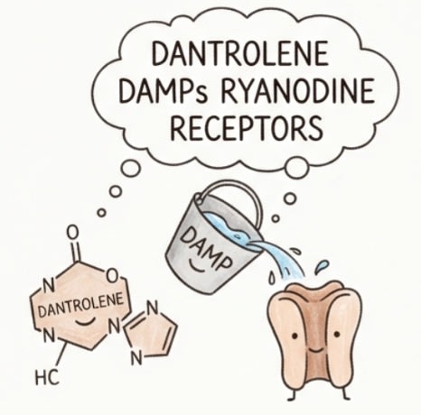 Dantrolene pharmacology mnemonic illustration