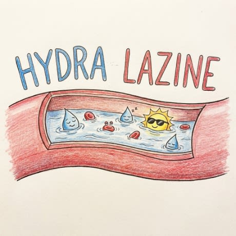 Hydralazine pharmacology mnemonic illustration