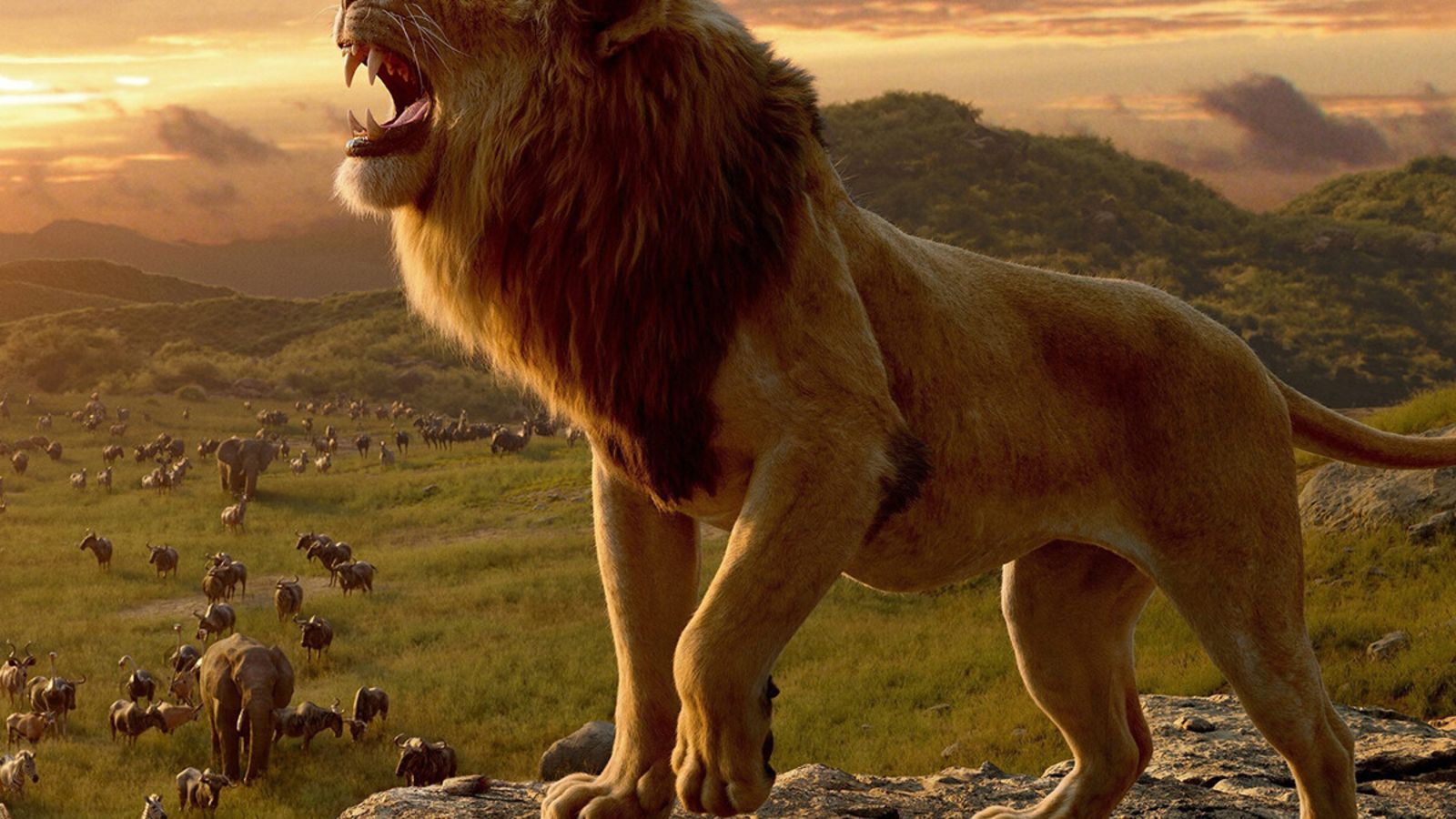 TheLionKing2019FilmStill_1200x900.jpg Hero