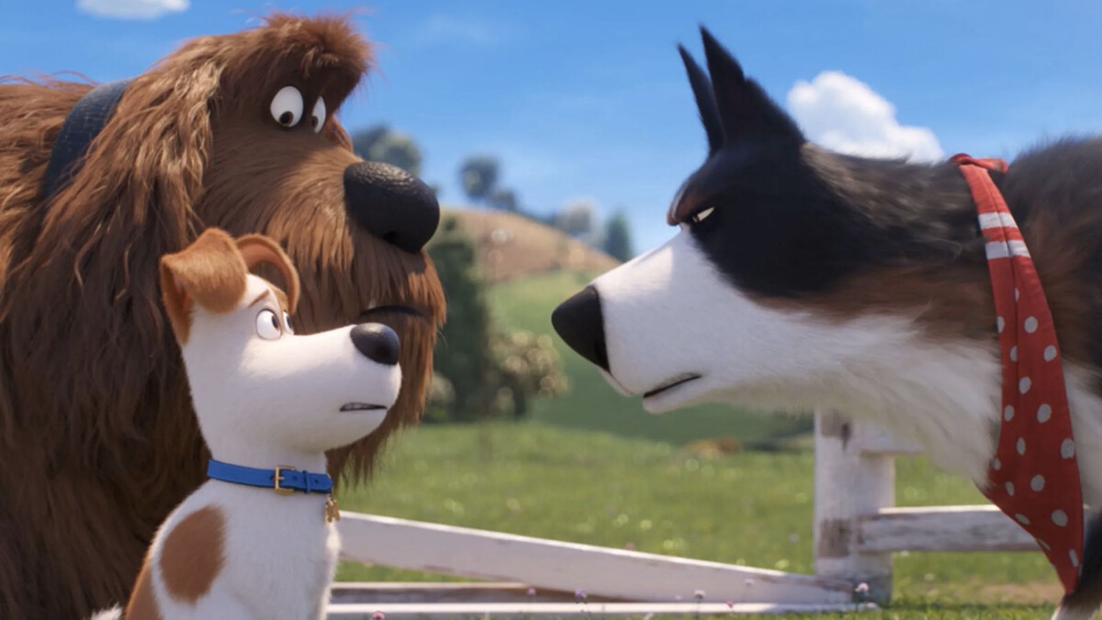SecretLifeofPets2FilmStill_1200x900.jpg Hero