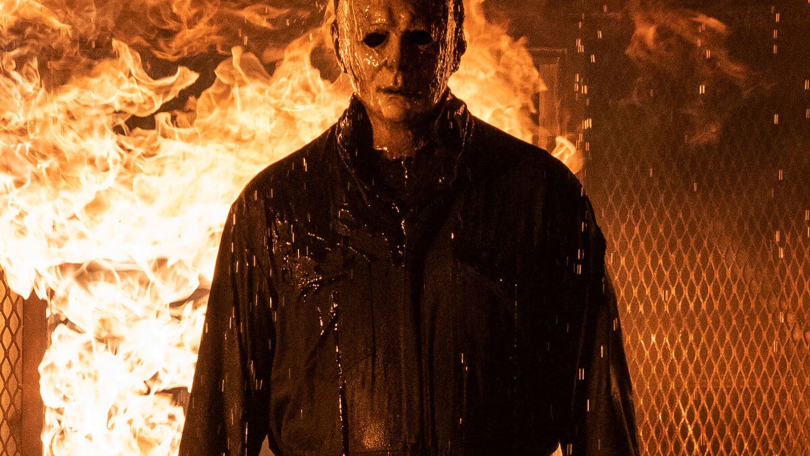 HalloweenKillsFilmStill_1200x900.jpeg Hero