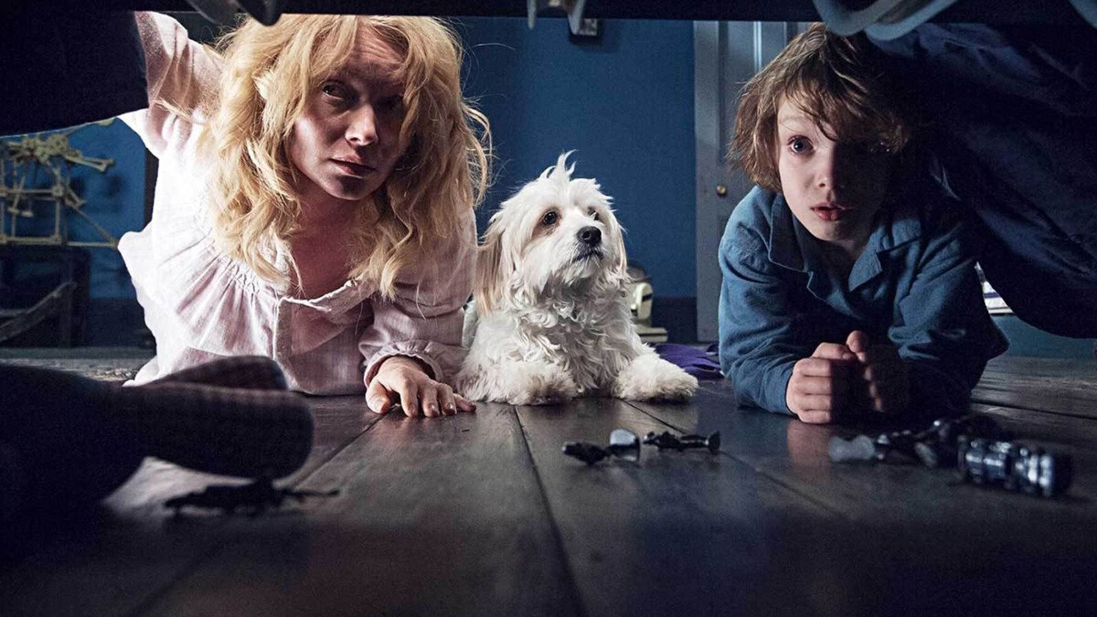 TheBabadookFilmStill_1200x900.jpg Hero