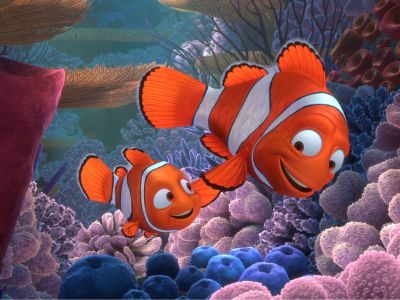 finding-nemo-filmstill-1200x900.jpg