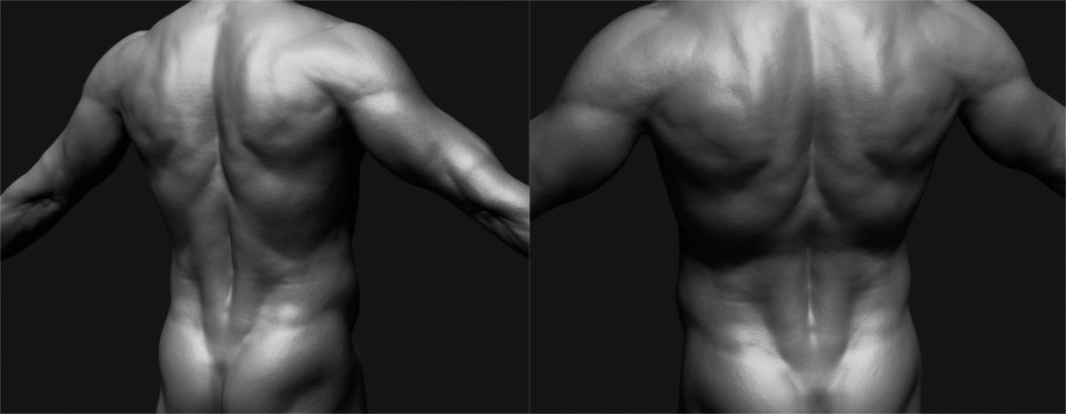 Detalle de la espalda en un estudio de anatomía masculina, escultura digital, de Aser Godoy, profesor de 3D y Videojuegos en TRAZOS