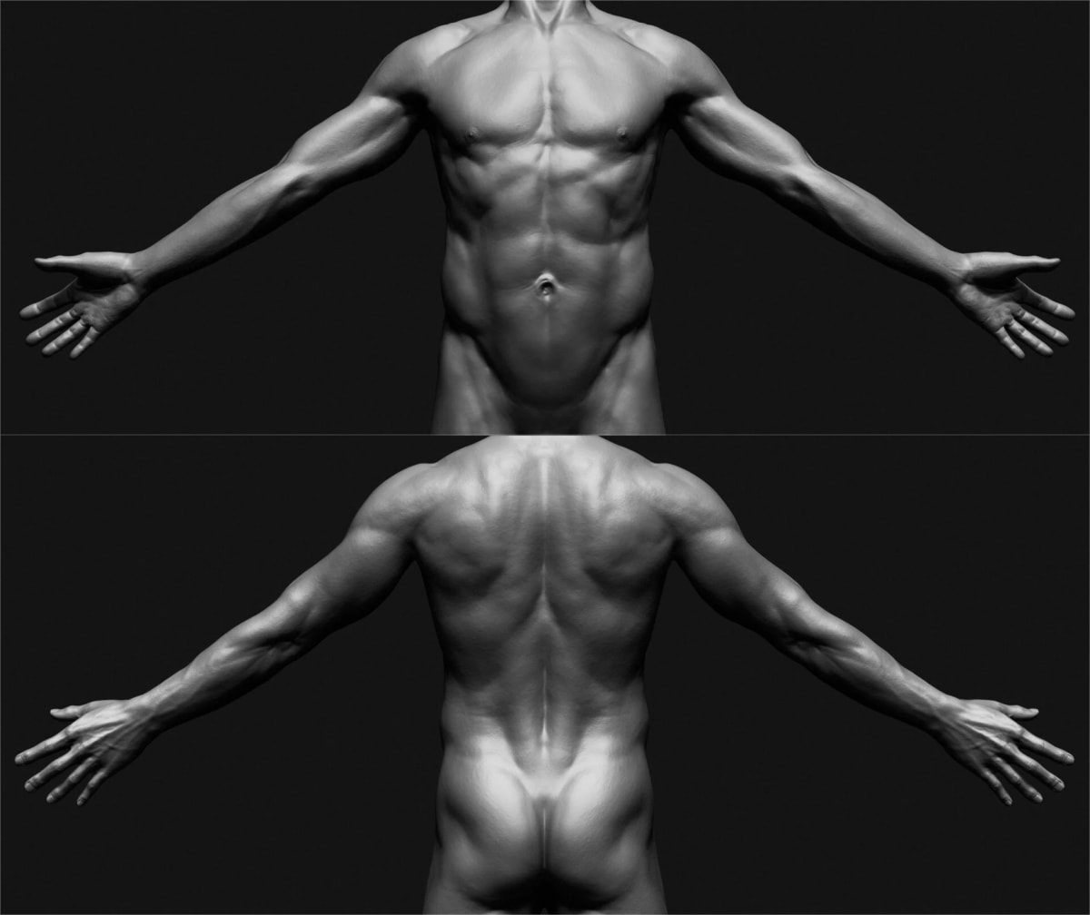 Estudio de anatomía masculina con los brazos extendidos, vistas de frente y de espalda, escultura digital, de Aser Godoy, profesor de 3D y Videojuegos en TRAZOS