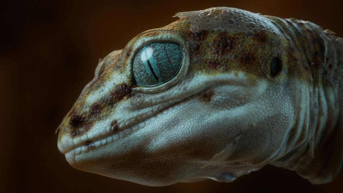 Cabeza de gecko hiperrealista de perfil con el ojo azul, render 3D, de Aser Godoy, profesor de 3D y Videojuegos en TRAZOS