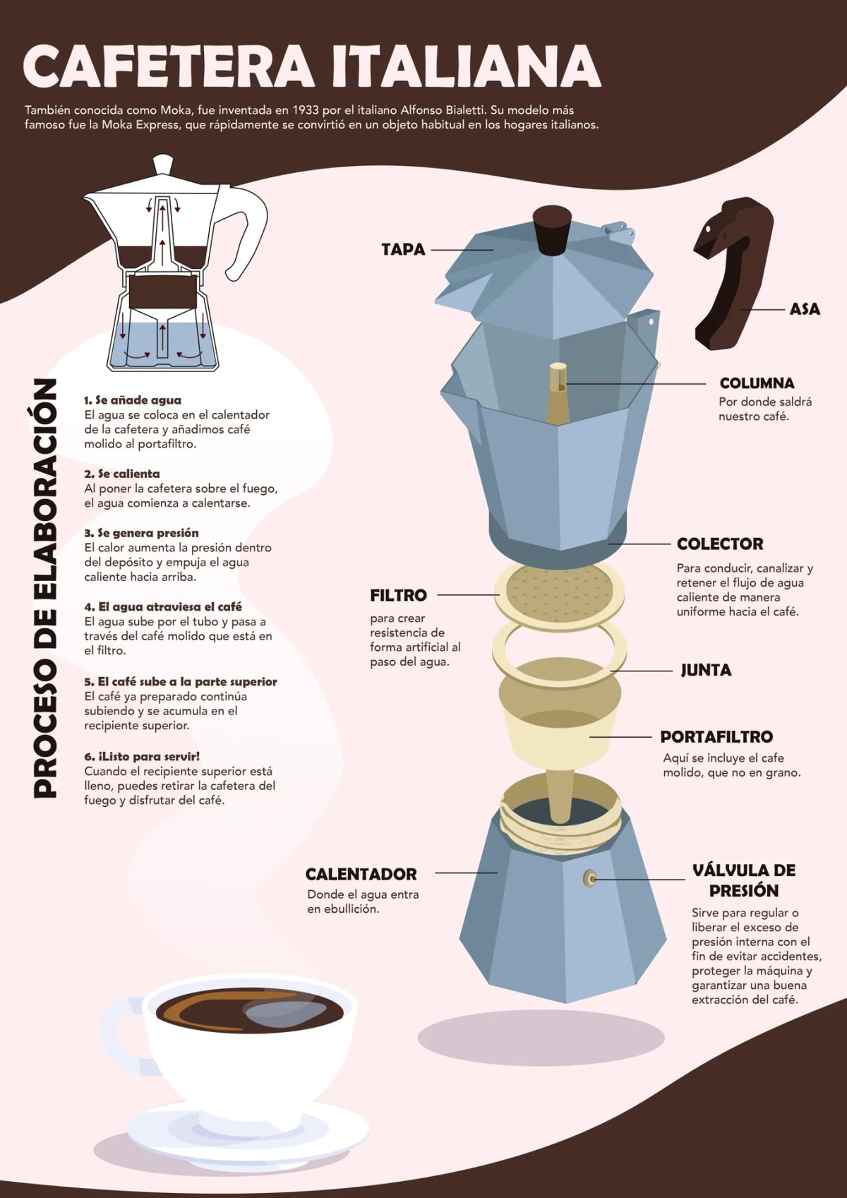 Infografía del despiece de una cafetera italiana con el proceso de elaboración paso a paso, de Mar Muñoz, alumna de Ilustración y Animación 2D en TRAZOS