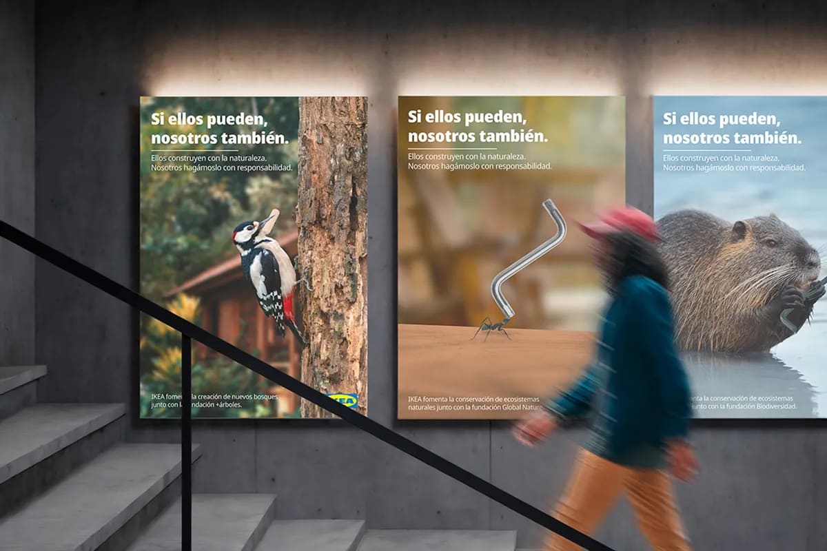 Carteles de la campaña IKEA Sostenible con un pájaro carpintero y otros animales, de Maren Alberdi Hernández, alumna de Diseño Gráfico y Motion Graphics en TRAZOS