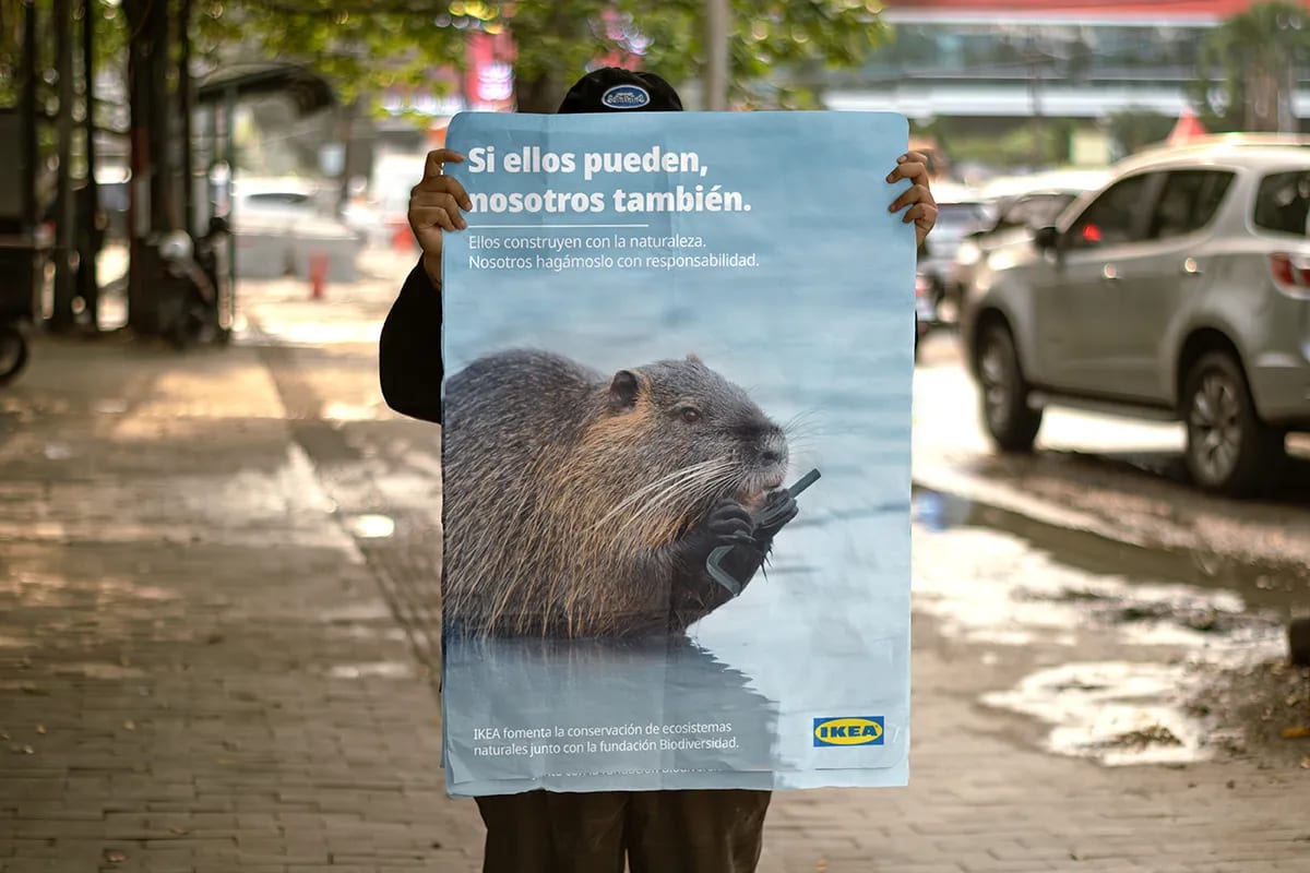 Persona sosteniendo un cartel de IKEA Sostenible con una nutria en la calle, de Maren Alberdi Hernández, alumna de Diseño Gráfico y Motion Graphics en TRAZOS