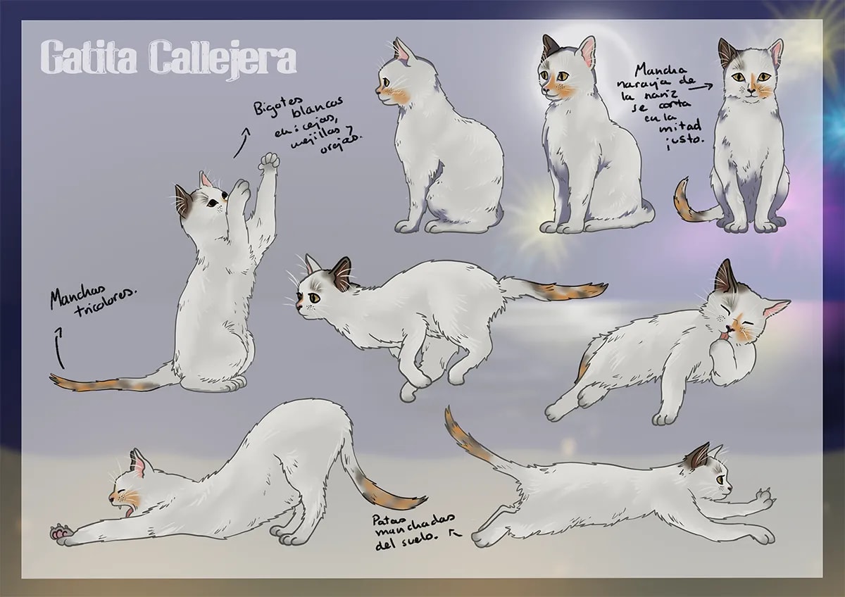 Hoja de diseño de una gatita callejera tricolor con poses y detalles, de Inés Pérez Carrillo, alumna de Ilustración y Animación 2D en TRAZOS