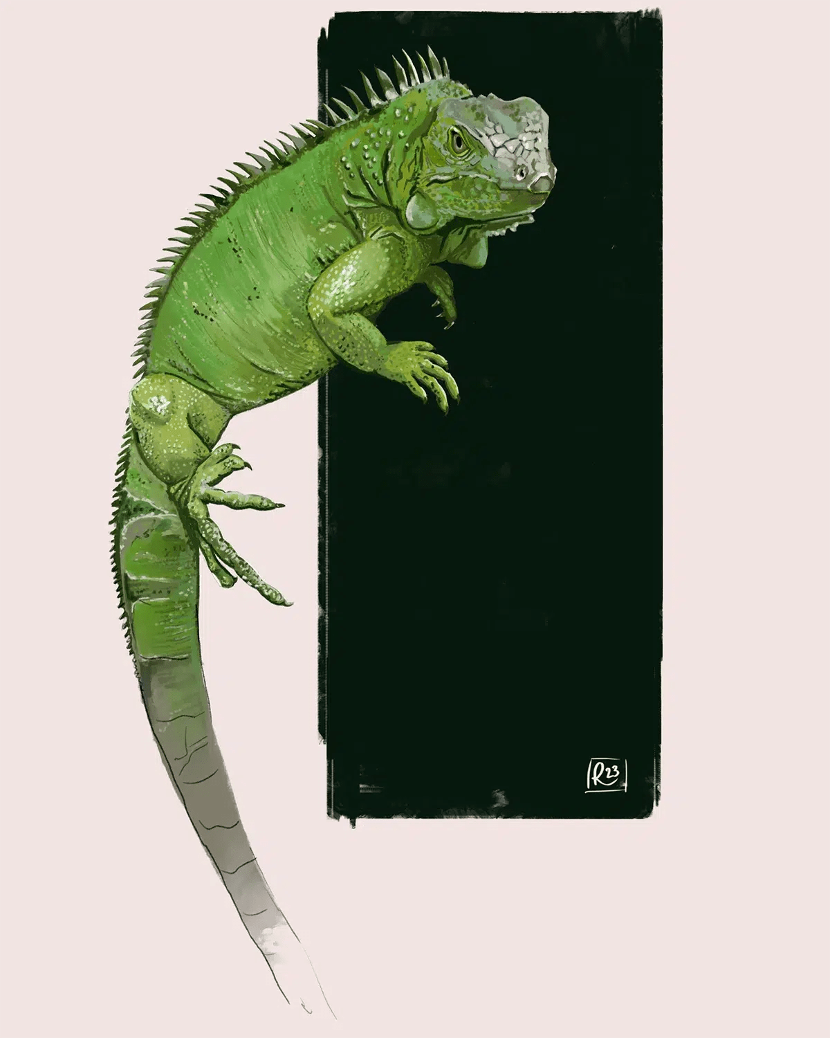 Ilustración detallada de una iguana verde sobre un fondo oscuro, de Patricia García Ricon, alumna de Ilustración y Animación 2D en TRAZOS