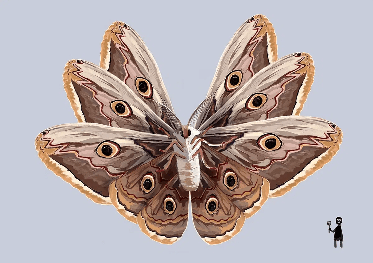 Ilustración detallada de una polilla grande con ocelos en las alas, de Patricia García Ricon, alumna de Ilustración y Animación 2D en TRAZOS