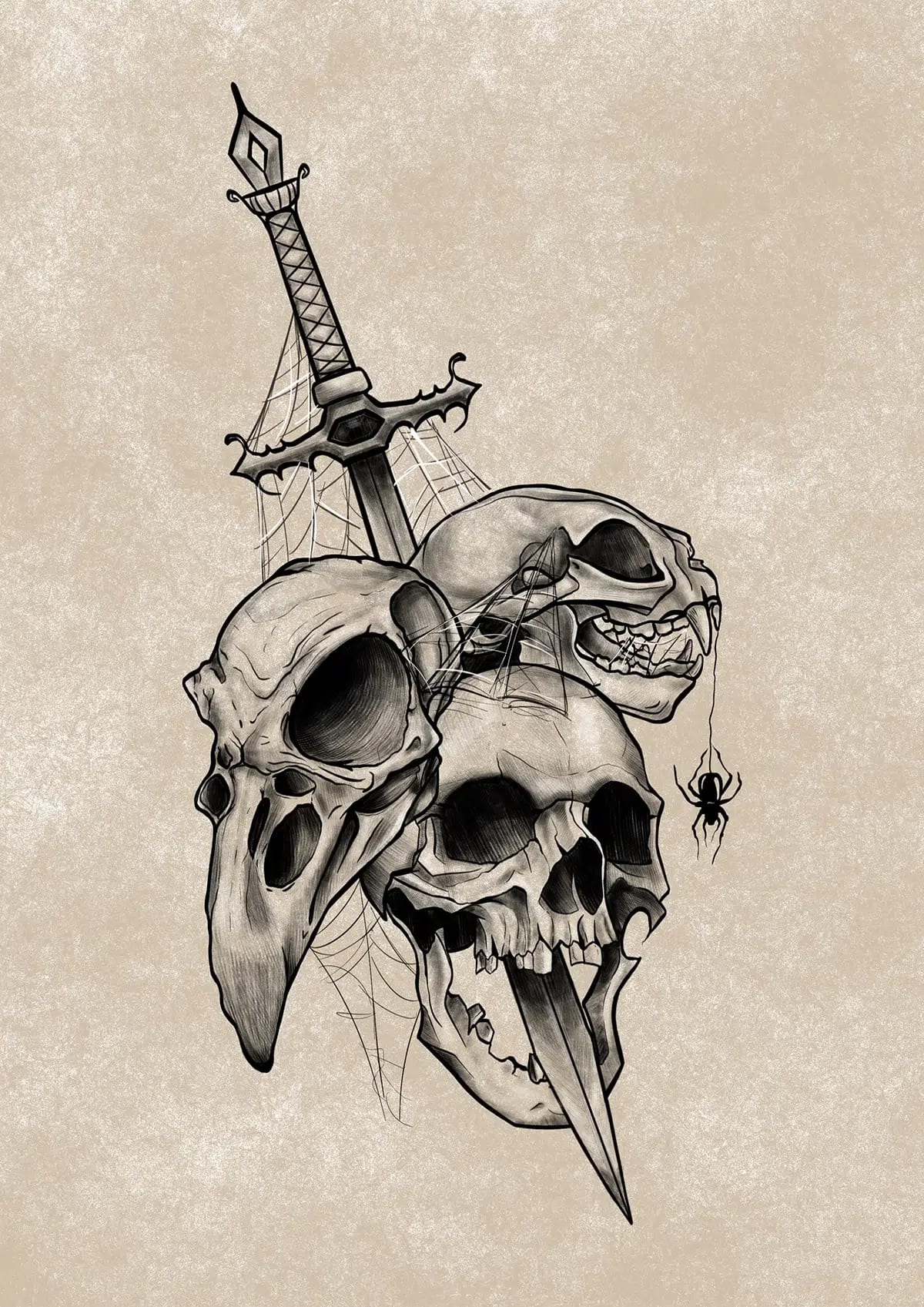 Ilustración estilo tatuaje en tinta de cráneos de animal y humano con una daga, telarañas y una araña, de Robea Fee Schlegel, alumna de Ilustración y Animación 2D en TRAZOS