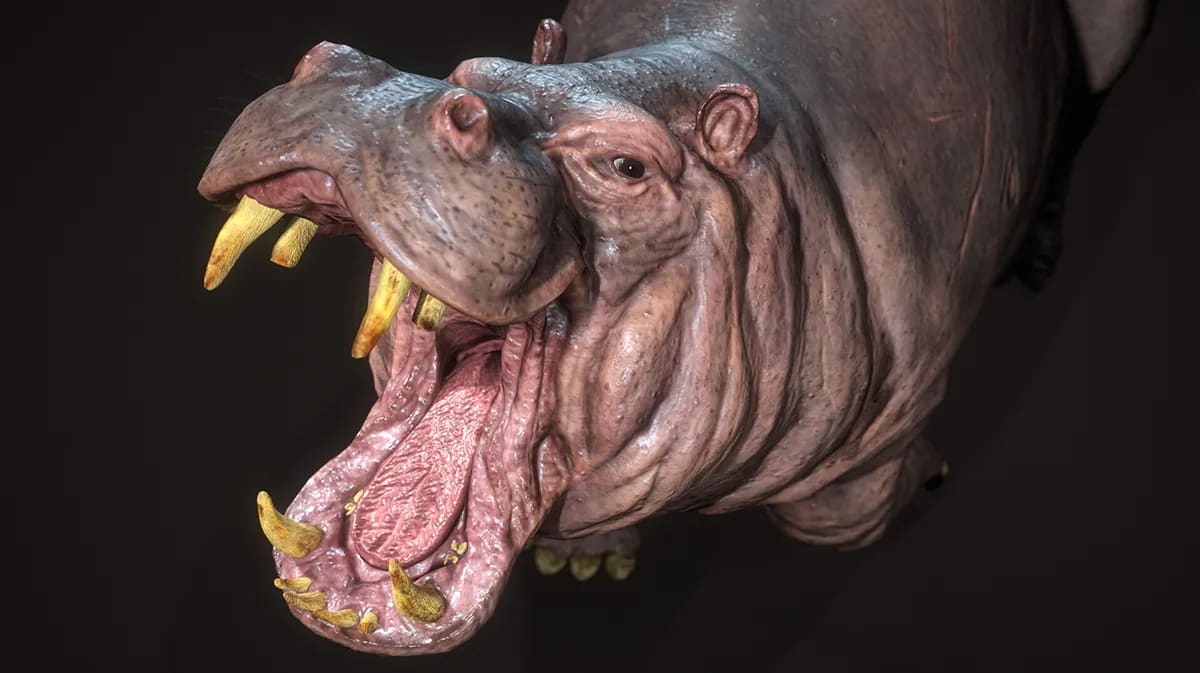 Primer plano 3D de la cabeza de una criatura tipo hipopótamo mostrando piel arrugada, ojo y colmillos, de Irene del Río, alumna de Concept Art en TRAZOS