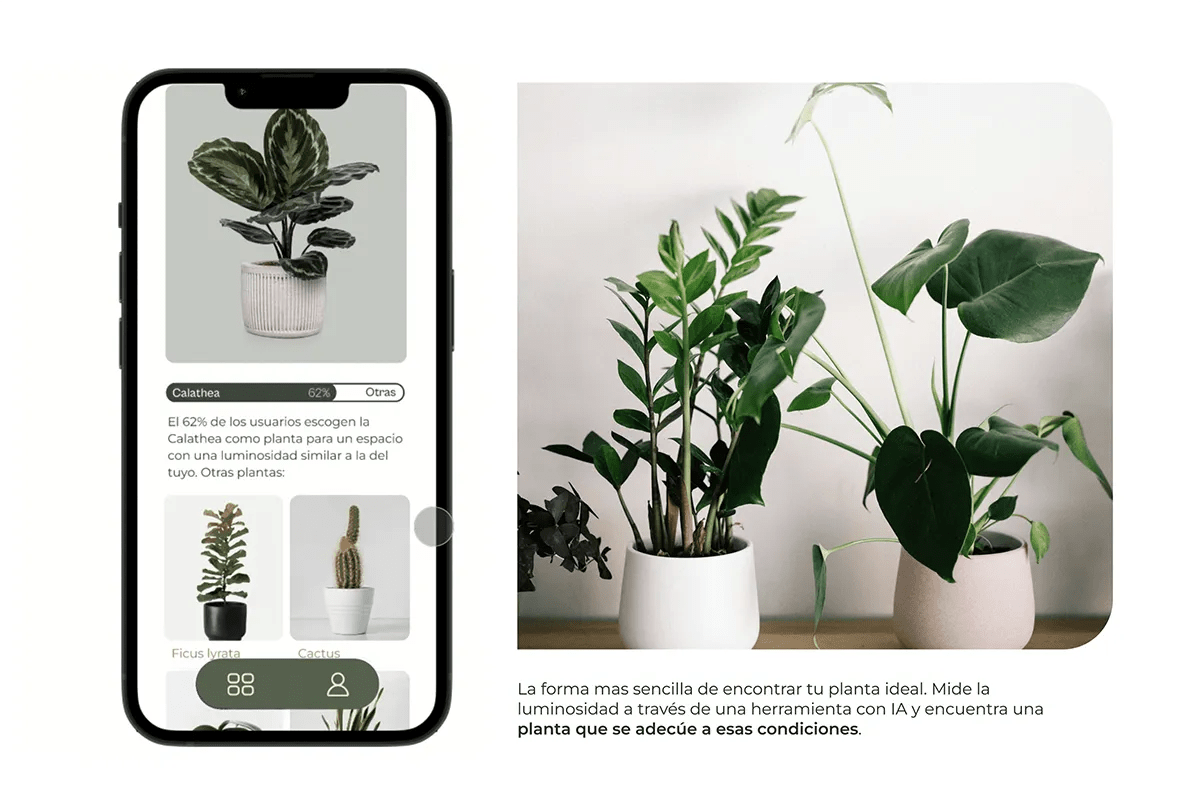 Pantalla de Planting que recomienda la planta ideal midiendo la luminosidad con IA, de Eva González, alumna de UX/UI/Web en TRAZOS