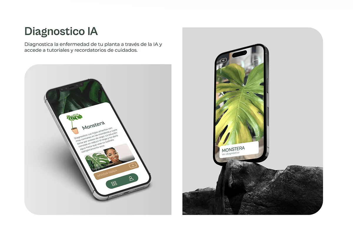 Función Diagnóstico IA de la app Planting que identifica la enfermedad de la planta Monstera, de Eva González, alumna de UX/UI/Web en TRAZOS