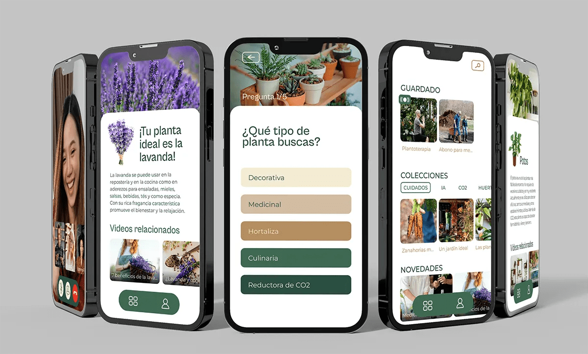 Pantallas de Planting con cuestionario de planta ideal, recomendación de lavanda y colecciones guardadas, de Eva González, alumna de UX/UI/Web en TRAZOS