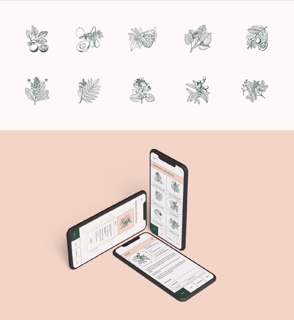 Ilustraciones de plantas y pantallas de remedios naturales de la app Magic Green, de Eva Sanz, alumna de UX/UI/Web en TRAZOS