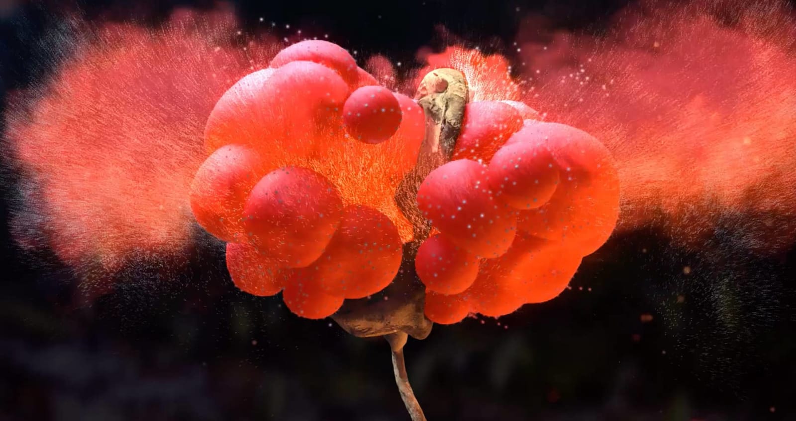 Portada del artículo «¿Cómo crear simulaciones de fluidos en Houdini? ¡Te enseñamos cómo!» del blog de TRAZOS