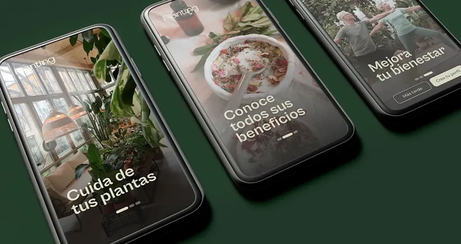 Portada del artículo «Cómo iniciarse en el Desarrollo Web: de principiante a desarrollador full-stack» del blog de TRAZOS