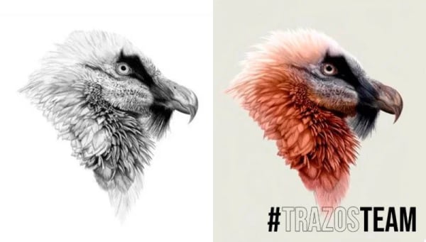 Proceso de creación de »Quebrantahuesos». #TrazosTeam