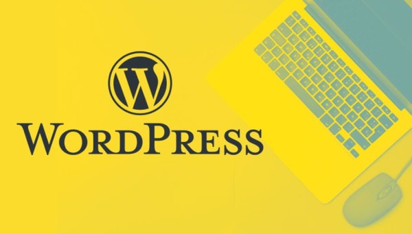 ¿Cómo hacer mi web con WordPress?