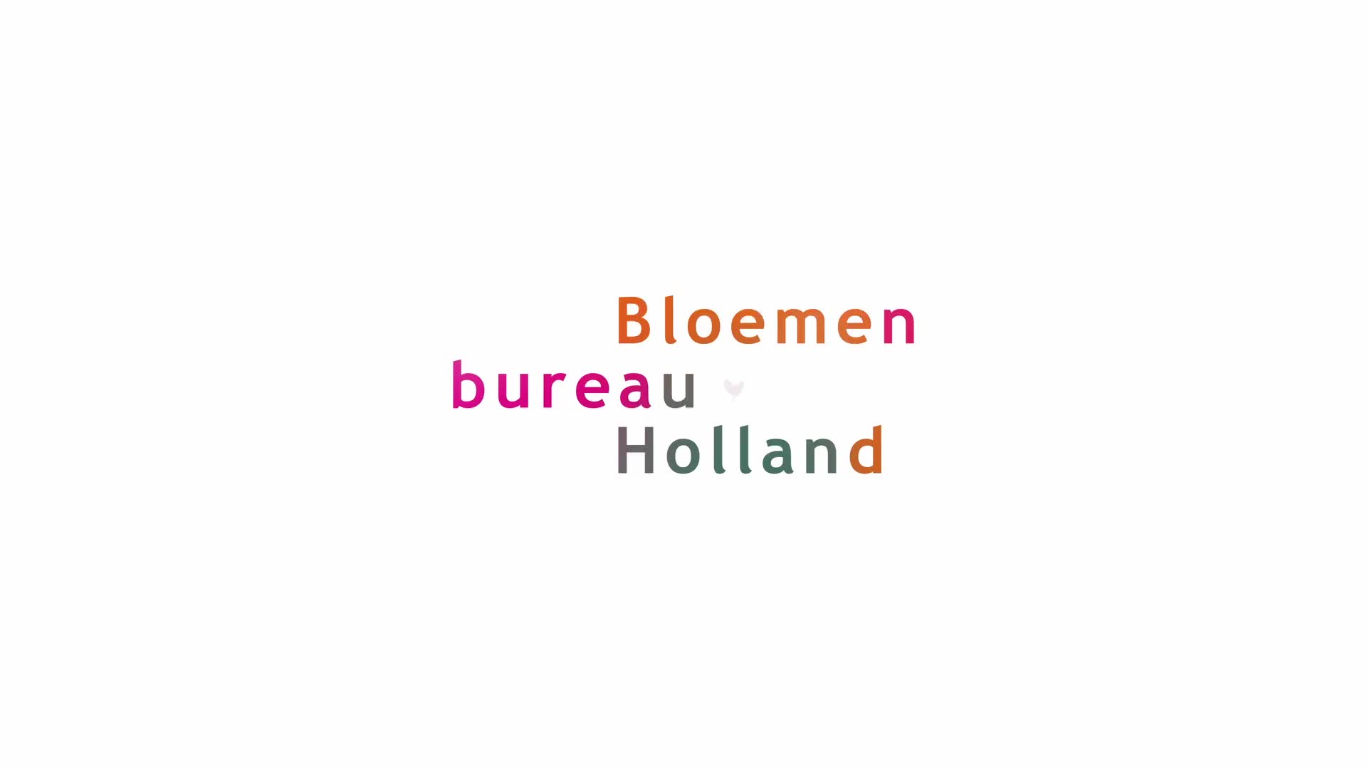 Plants and Flowers Foundation Holland — Visueel Jaaroverzicht