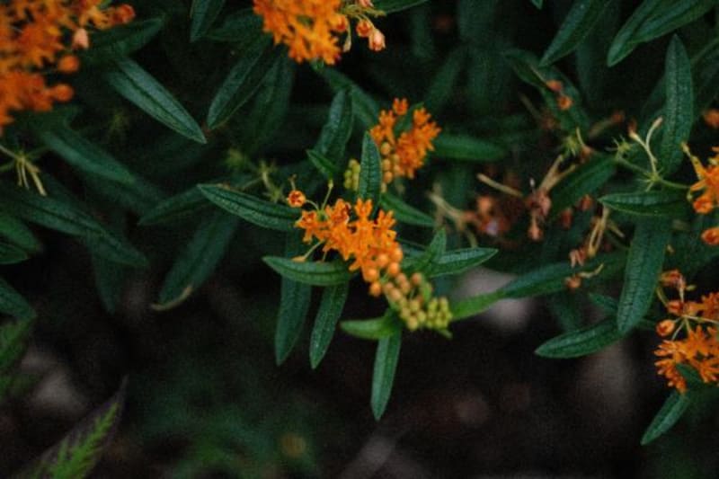 2026-06-24-fujifilm-xt3-helios-44m-20260624004224519