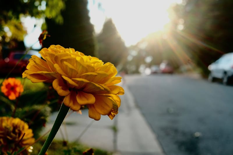 DSCF8188