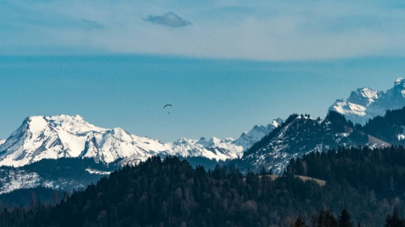 Zug Left View