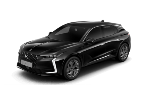 DS4 Bastille (1)
