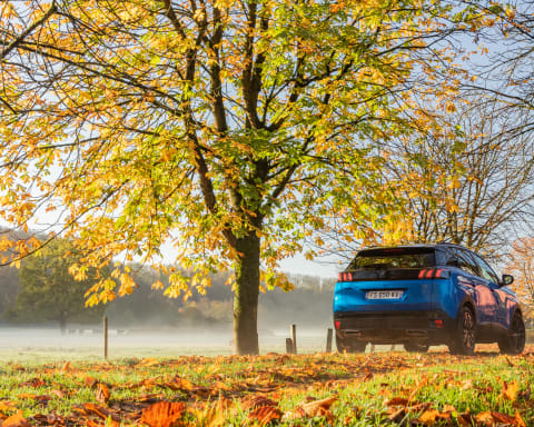 Peugeot 3008 GT Hybrid 1