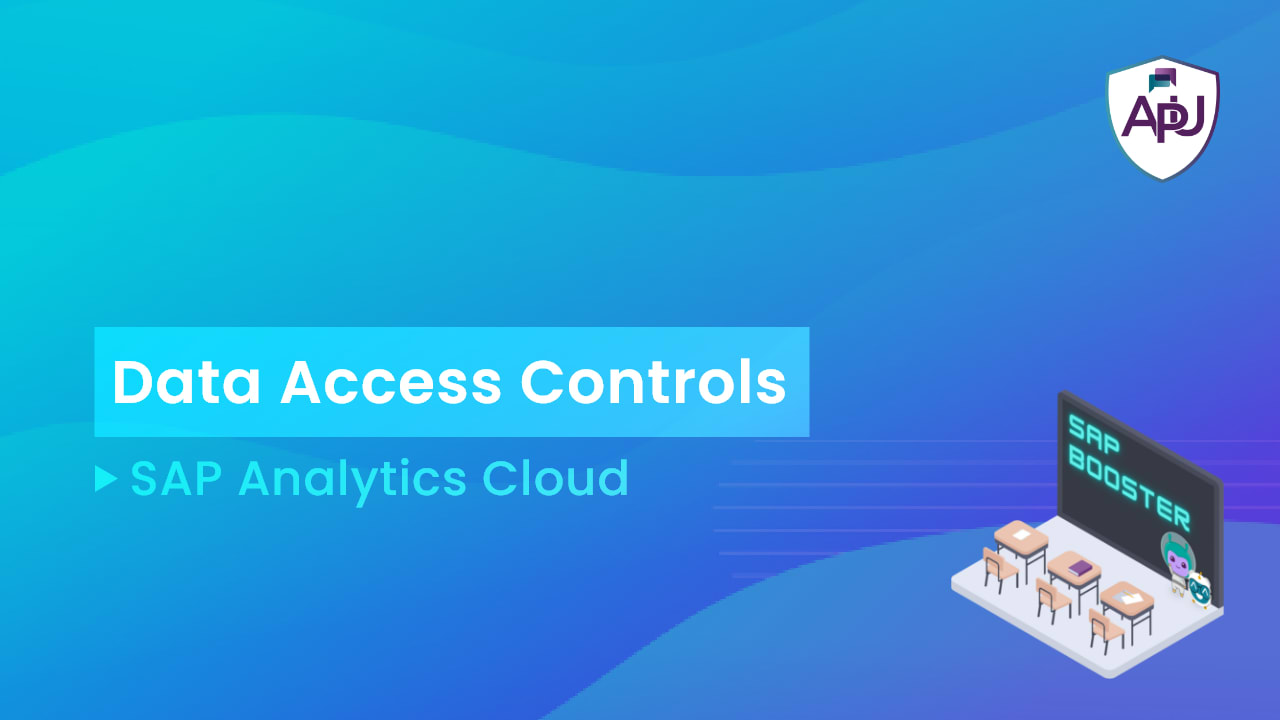 SAP Booster - Data Access Controls