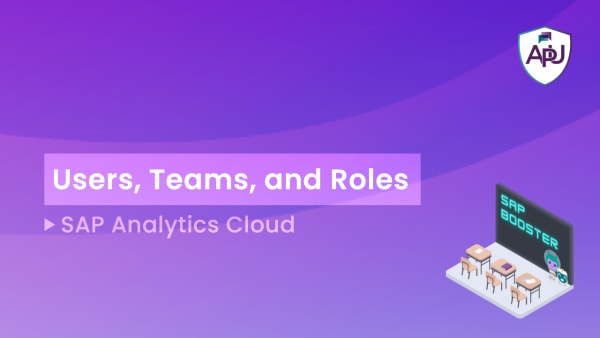 SAP Booster - Users, Teams, and Roles