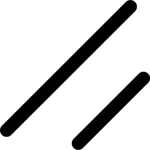 Shadcn UI icon