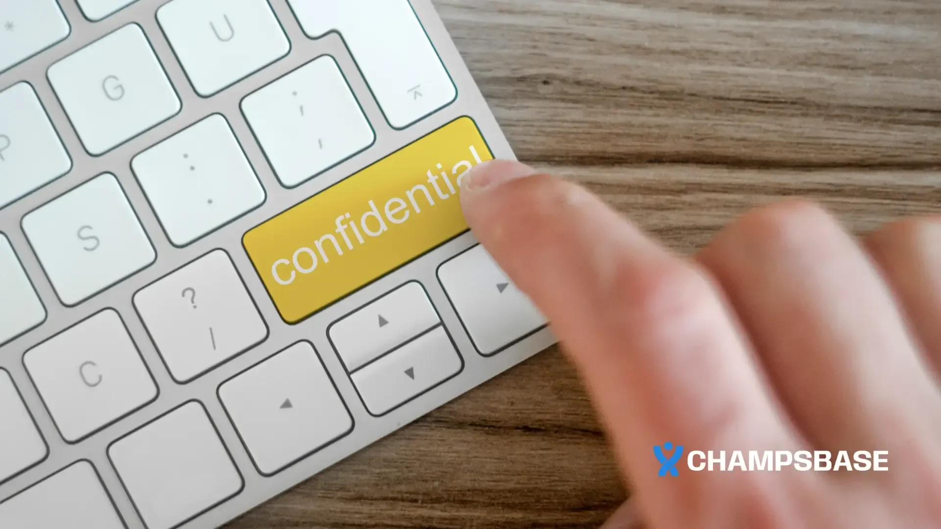 Politique de confidentialité