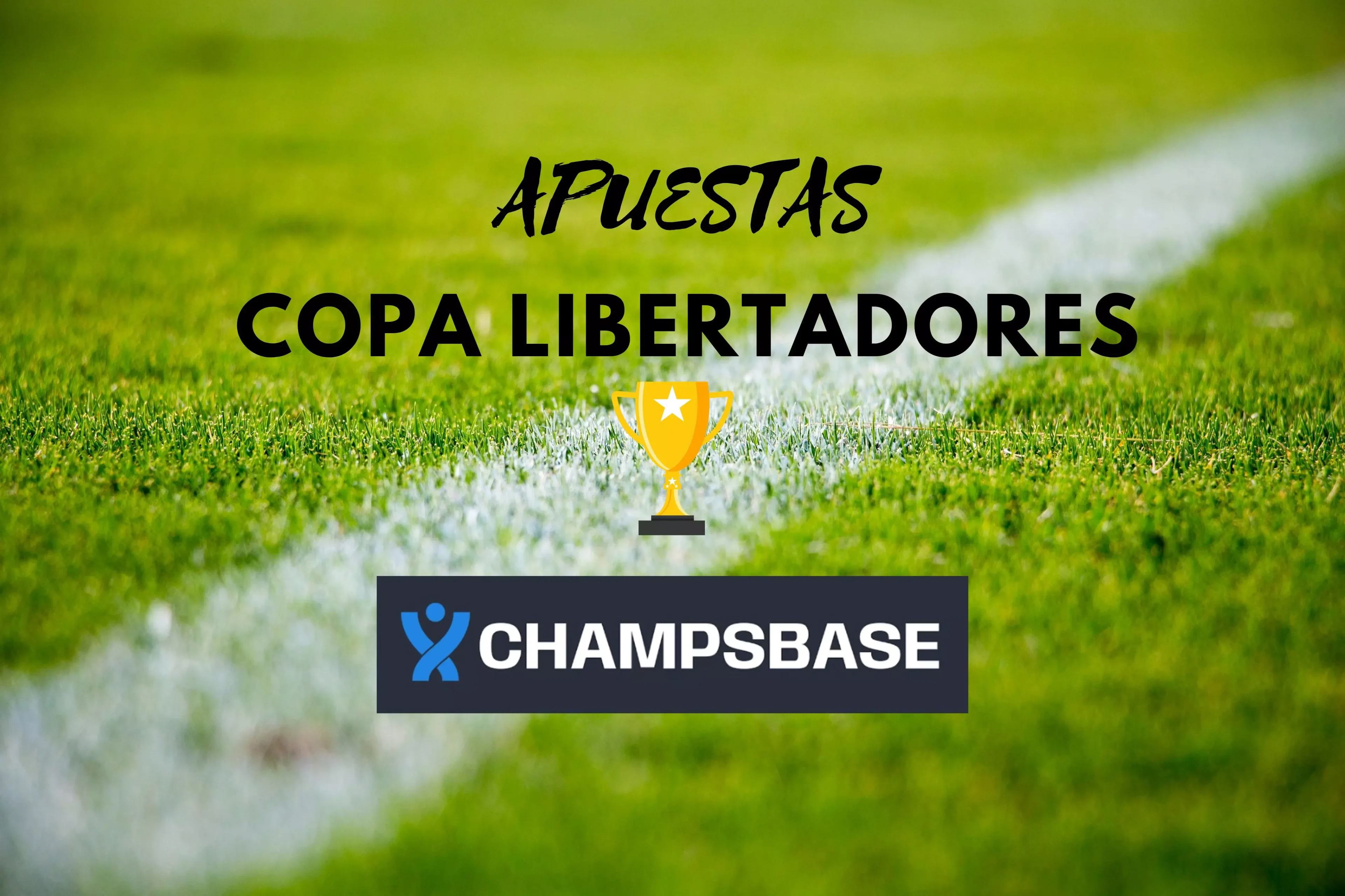 Atlético Mineiro vs Botafogo [Pronóstico] [Final Copa Libertadores] - Cuotas y Predicciones para la final (30/11/2024 - 17:00 GMT-3)