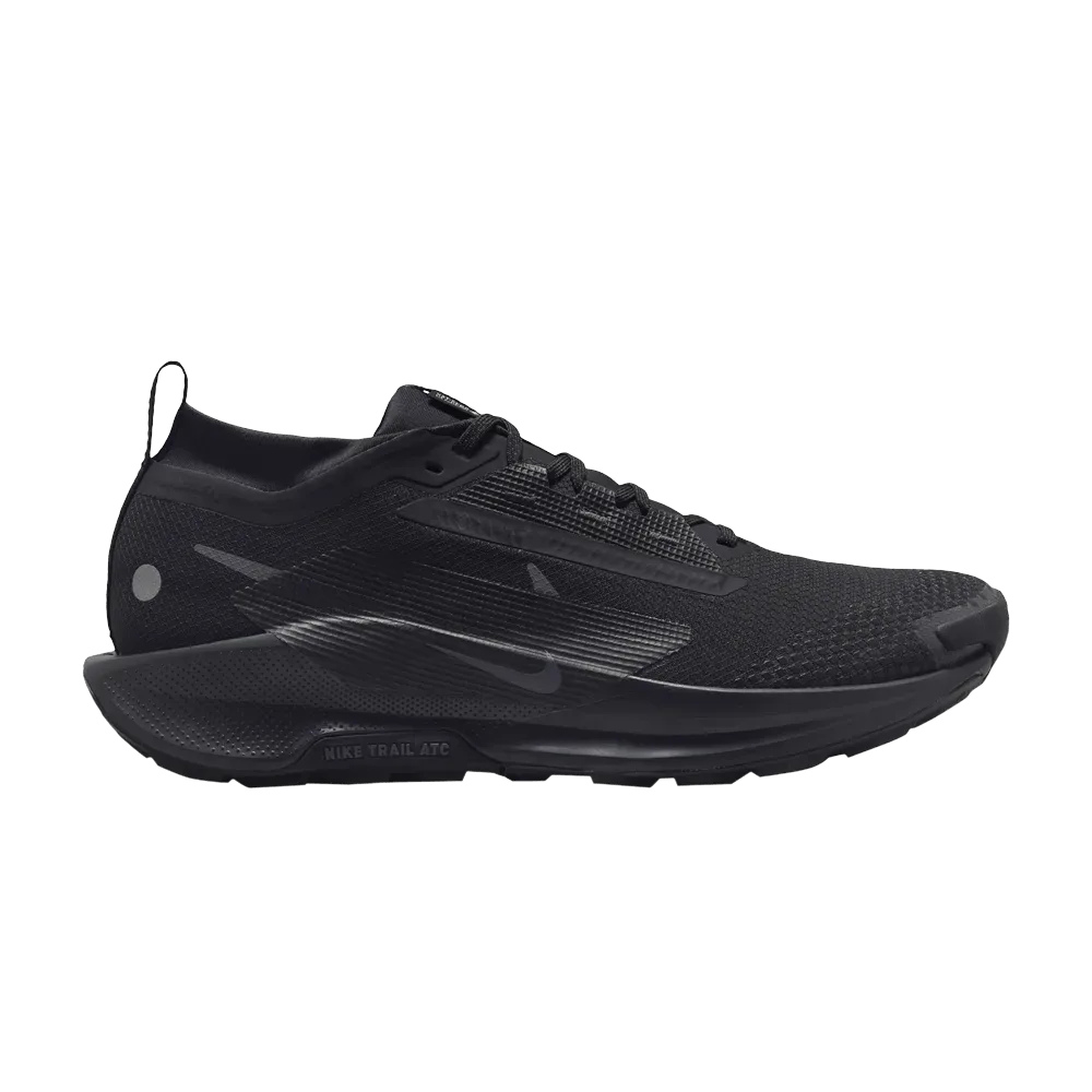 Nike Pegasus Trail 5 Gore-Tex Black