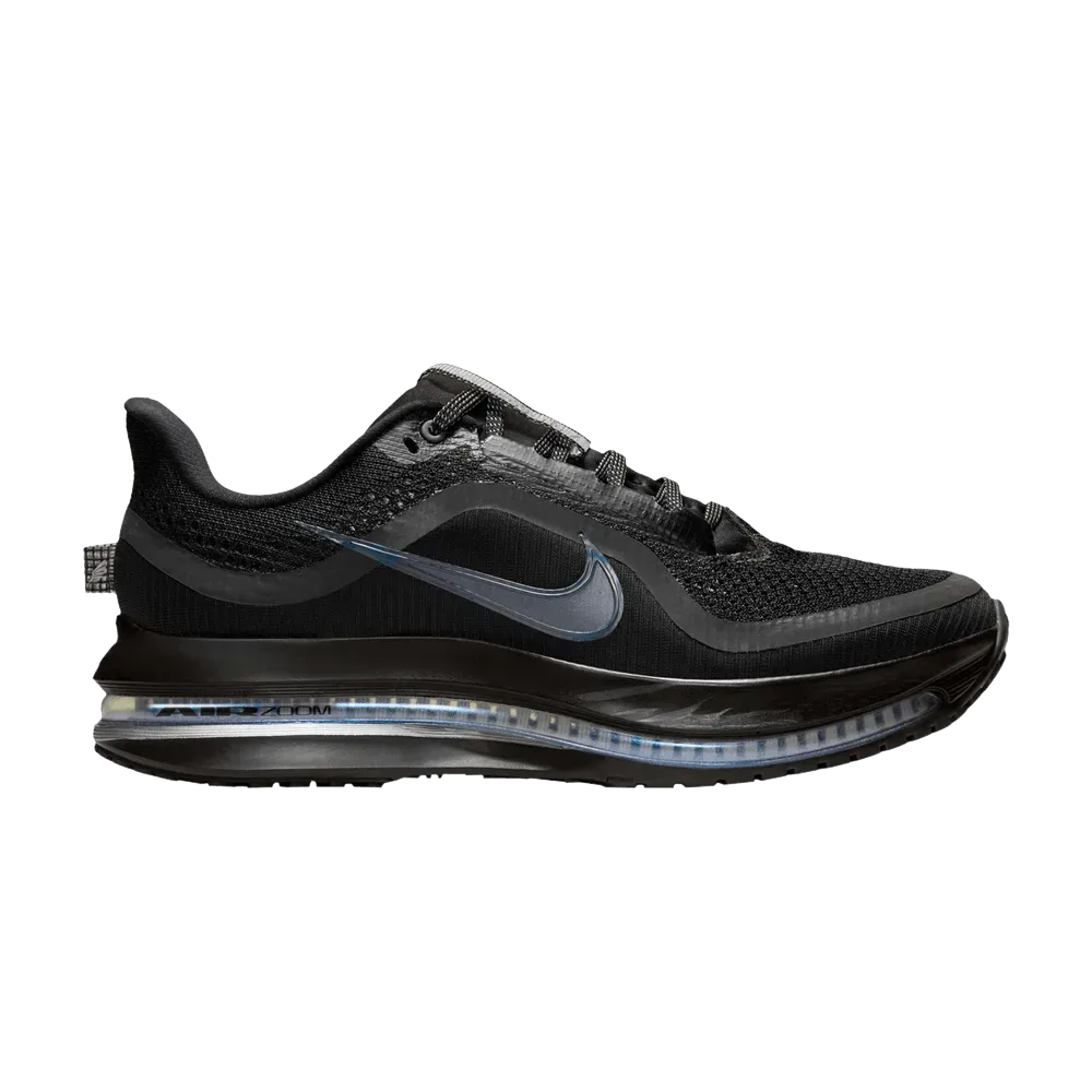 (W) Nike Pegasus Premium Black Metallic Silver
