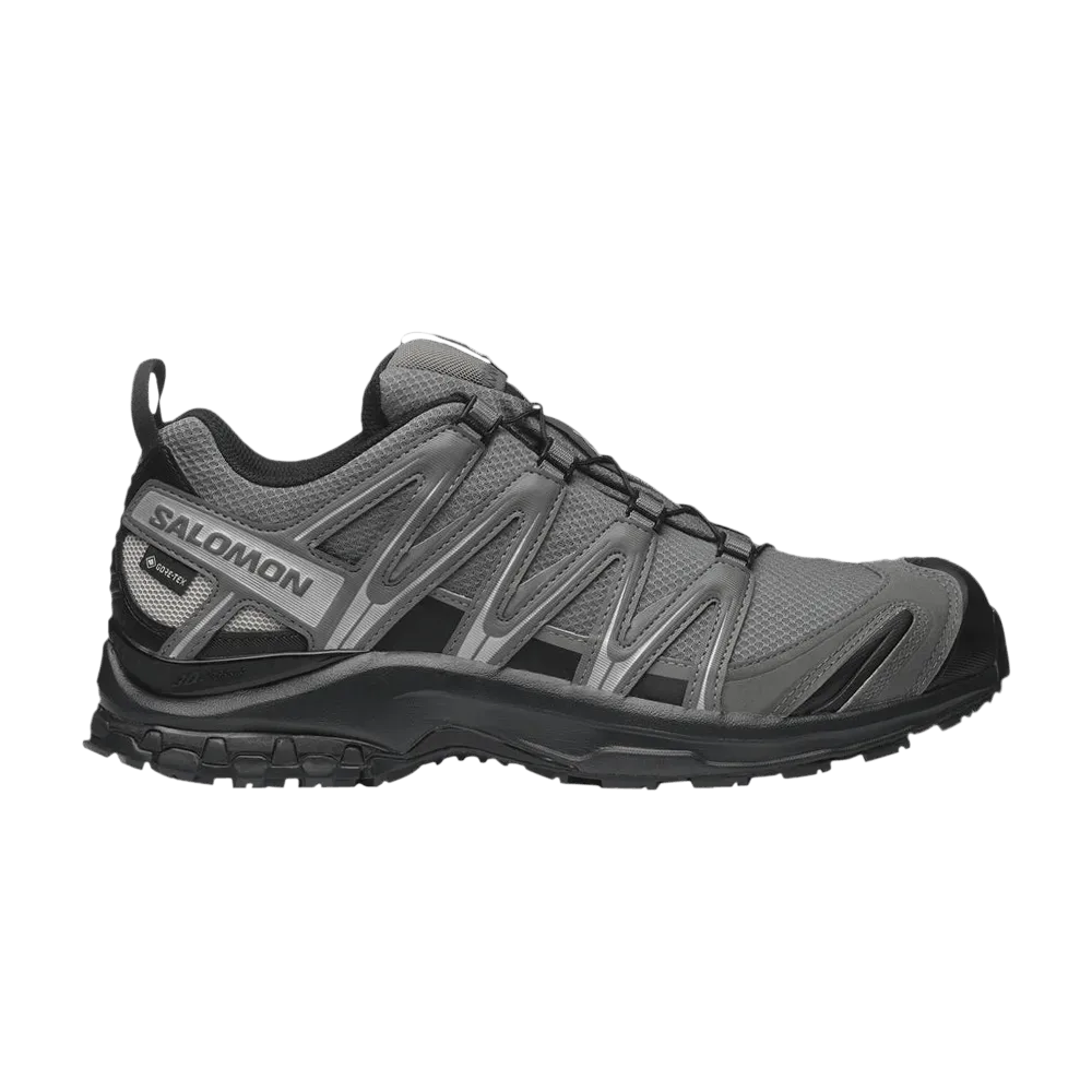 Salomon XA Pro 3D GTX Pewter Black Silver Cloud
